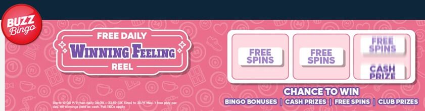 Top Bonuses for Online Bingo Players in 2024