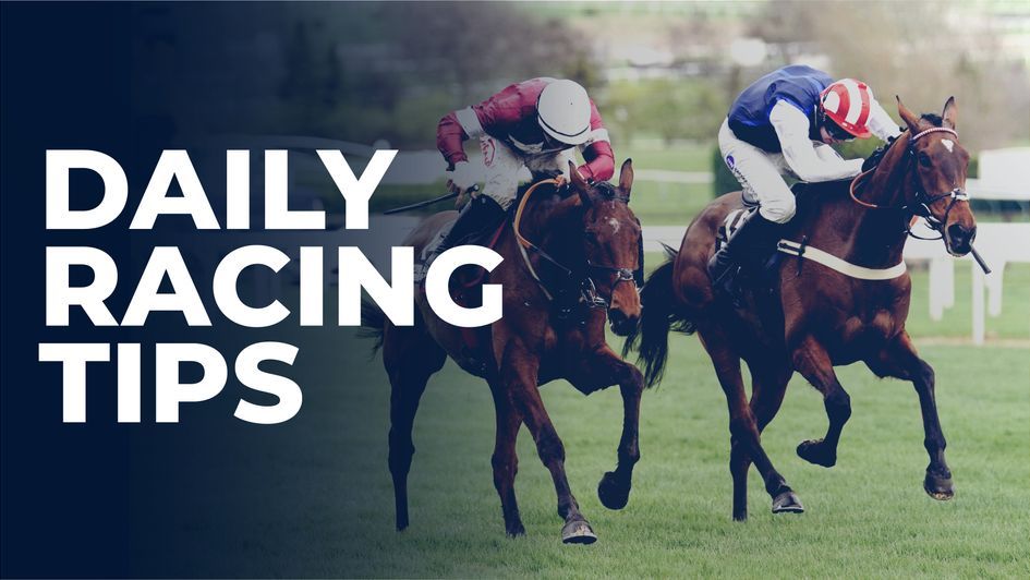 Top Sites for Daily Horse Racing Picks